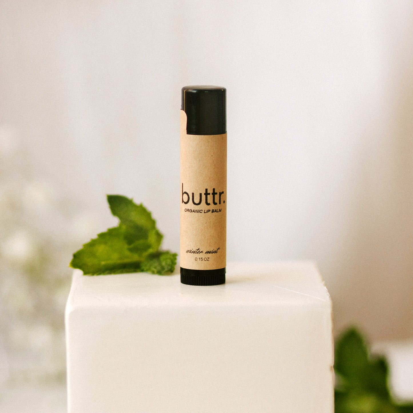 Winter Mint Lip Balm